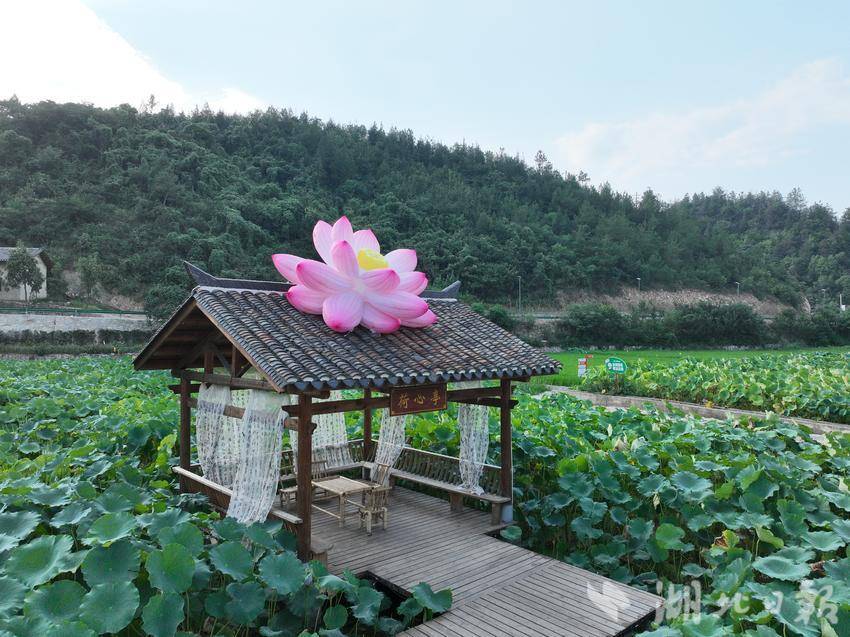 管道最新资讯-快科技--科技改变未来(图1)